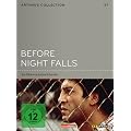 Before Night Falls
