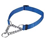 Guardian Gear Medium Martingale Dog Collar, 3/4-Inch, Blue