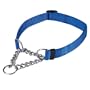 Guardian Gear Small Martingale Dog Collar, 5/8-Inch, Blue