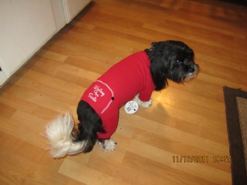 Dog Christmas Waiting for Santa Embroidered Red Flannel Thermal Pajamas - Small