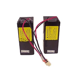 Razor Battery - e200 (V8-12) / e300 (V5-12)