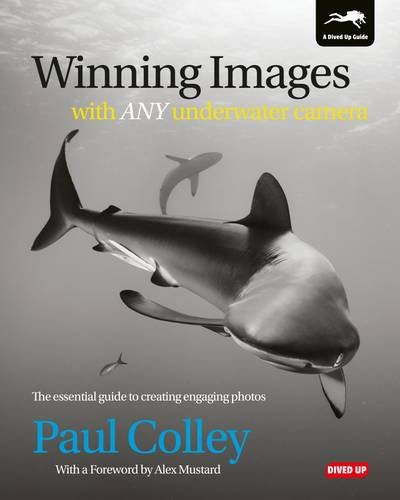 winning images with any underwater camera the essential guide to creating engaging photos