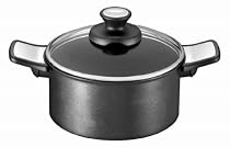 T-fal IHミッション シチューパン 20cm C65144