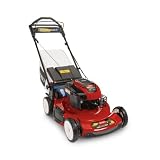 TORO Personal Pace Walk P