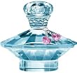 �L�����A�X50ml�I�[�h�p���t�@���X�v���[[�u���g�j�[�X�s�A�[�Y][BRITNEY&nbsp;SPEARS]