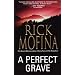 A PERFECT GRAVE
