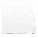 White Cotton Handkerchief with Large Monogram Embroidery