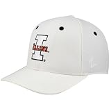 NCAA Zephyr Illinois Fighting Illini White Flurry Fitted Hat (7)