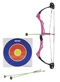 Nxt Generation Girls Compound Bow with 3 Arrows and Target