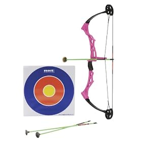 Click here to buy Nxt Generation Girls Compound Bow with 3 Arrows and Target.