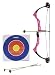 Nxt Generation Girls Compound Bow with 3 Arrows and Target