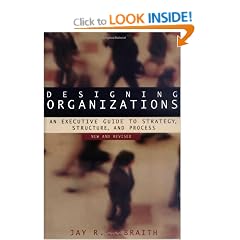 Designing Organizations: An Executive Guide to Strategy, Structure, and Process