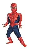 Muscle Chest Spiderman Costume