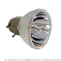 OPTOMA SP.8EG01GC01 - OSRAM Replacement Lamp Bulb only - OPTOMA DH1010, EH1020, EX612, EX615, HD180, HD20, HD200X, HD20LV, HD20X, HD2200, OP-300W, OP-X3200, OPX4010, TH1020, TW615-3D, TX612, TX615, TX615-3D