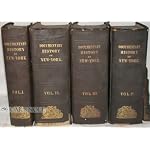 The Documentary History of the State of New-York: Arranged Under Direction of the Hon. Christopher Morgan book cover