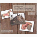 Illustrated Atlas of Clinical Equine Anatomy and Common Disorders of the Horse Volume 2