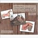 Illustrated Atlas of Clinical Equine Anatomy and Common Disorders of the Horse Volume 2 Image
