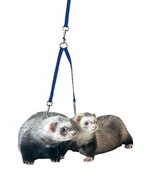 Marshall Ferret Tandem Coupler, Royal Blue