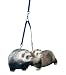 Marshall Ferret Tandem Coupler, Royal Blue