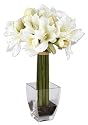 Uttermost Amaryllis Beach Bouquet Botanical