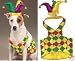 Mardi Gras Dog Costume - Mr. Jester Dog Costume - Small