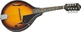 Washburn A Style Mandolin (Spruce, Maple, and Rosewood)