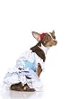 2Pc Wizard Of Oz Dorothy Toto Cute Dog Holiday Pet Costume