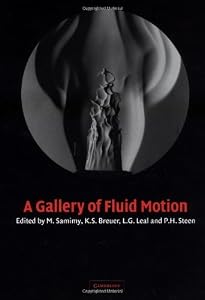 A Gallery of Fluid Motion