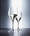 Schott Zwiesel Tritan Crystal Glass Mondial Stemware Collection All Purpose White Wine Glass, 8.4-Ounce, Set of 6