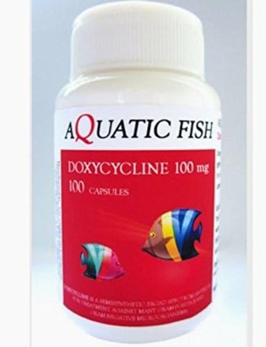 AQUARIUM ANTIBIOTIC FISH (AQUATIC FISH) 100 Count