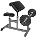 Preacher Curl Bench