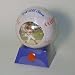 Lil' All Star Baseball Musical Picture Frame Coin Bank with Bubble Gum - For Your Fav...
