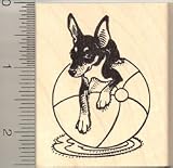Toy Fox Terrier Dog Rubber Stamp - Wood Mounted