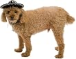 Mini Sombrero Hat Pet Halloween Costume (One-Size)