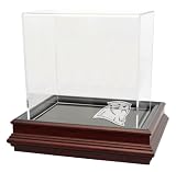 Carolina Panthers Boardroom Base Mini Helmet Display