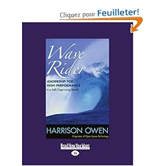 Wave Rider: Leadership for High Performance in a Self-organizing World: Easyread Large Edition