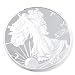 2007 Proof Silver American Eagle