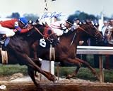 41Uo5RU8qGL. SL160  sports  Ill Have Another wins 2012 Preakness in Photo Finish | Video Replay | Can He Win Triple Crown?
