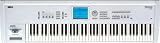 Korg