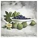 Artful Bowl by F Heigl Fine Art Print / Poster 7.00 x 7.00 in.