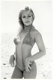 Charlene Tilton Poster Photo Bikini Pinup Art Girl Dallas Posters 20x30