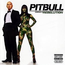 Pitbull Picture 1
