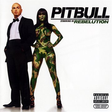 Pitbull Picture