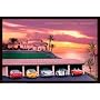 Justification For Higher Education - Poster: Sports Cars (Size: 36'' x 24'')