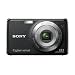 Sony Cybershot W220B Digital Camera - Black (12.1MP, 4x Optical Zoom)2.7 inch LCD