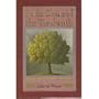 In the Shade of the Terebinth: Tales of a Night Journey