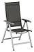 Kettler Basic Alu-Textilene Klappsessel Textilene mocca, Gestell champagner