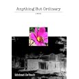 Anything But Ordinary