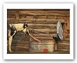Nose to Toes by David R. Stoecklein 12.875"x18" Art Print Poster