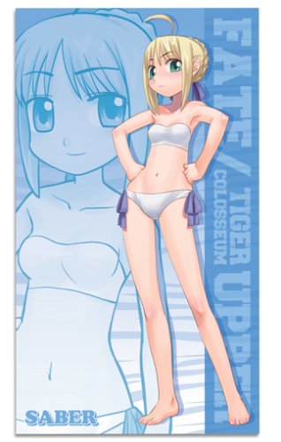 Cover image : Fate/tiger colosseum UPPER タイガーころしあむアッパー・セイバービッグタオル